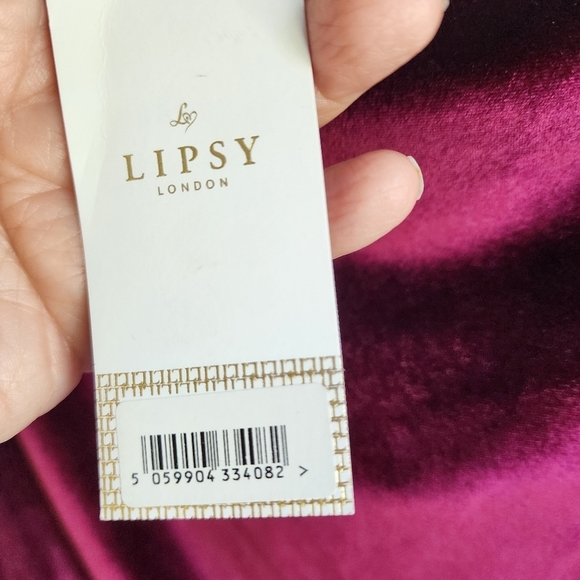 Lipsy London Plum Velvet Dress with a slouchy neck and Dolmam Sleeves sz 14 NWT - Picture 4 of 10